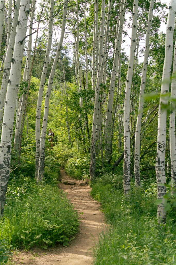 Free stock photo of adventure, alpine, backpacking
